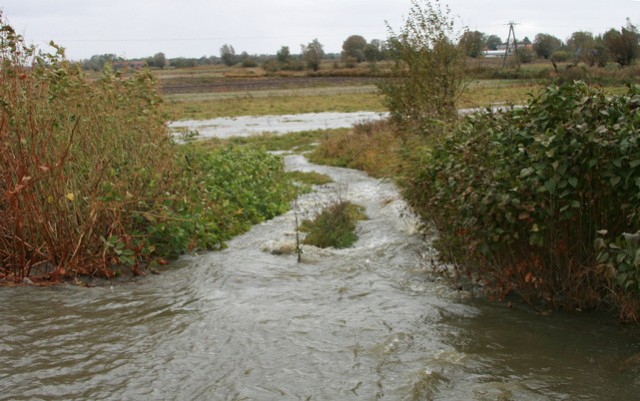 Walka z wodą w Nowakowie zdjęcie nr 28354