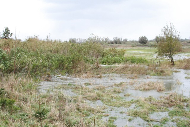 Walka z wodą w Nowakowie zdjęcie nr 28349