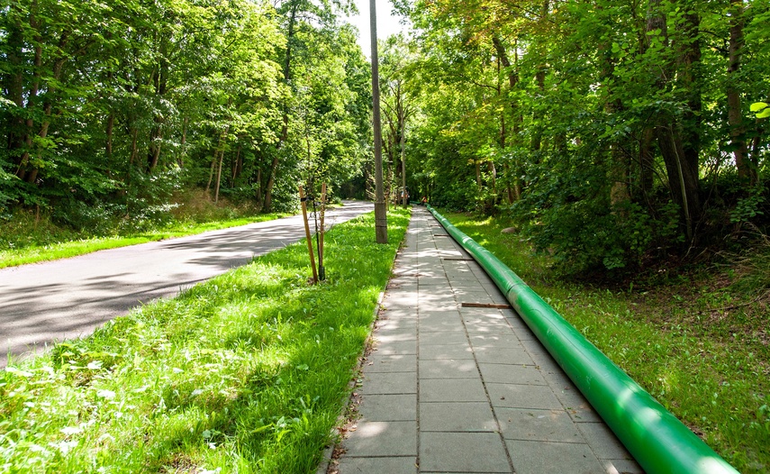 Budują kanalizację przy Górze Chrobrego. Po co? zdjęcie nr 352443