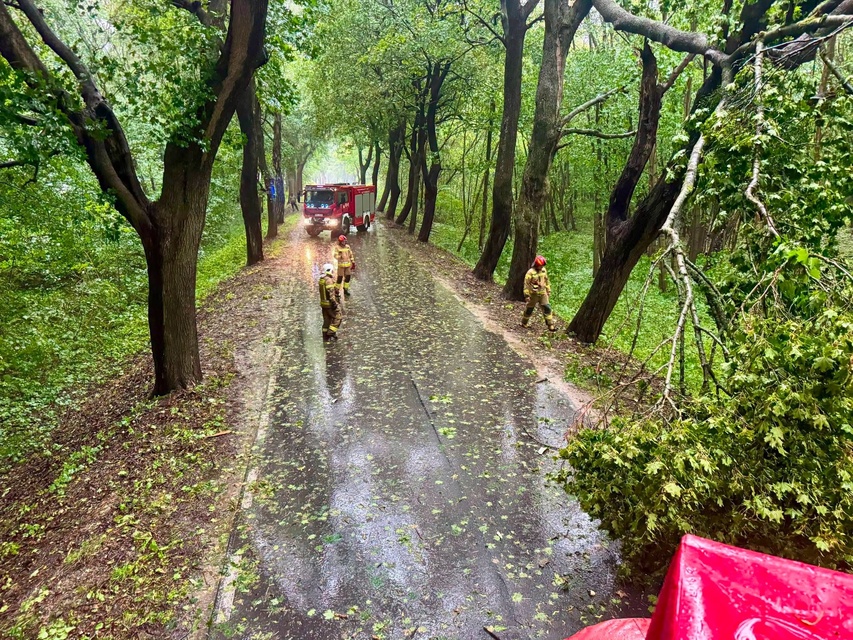 Skutki wichury i ulewnego deszczu zdjęcie nr 352880