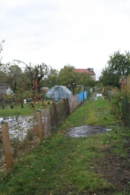 Elbląg po powodzi zdjęcie nr 28403