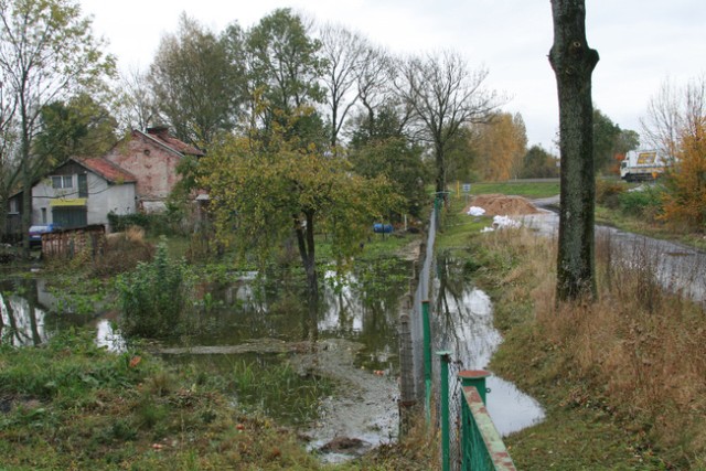 Elbląg po powodzi zdjęcie nr 28401