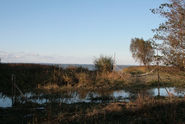 Tolkmicko, Suchacz i Nowakowo po powodzi zdjęcie nr 28459