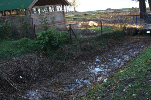 Tolkmicko, Suchacz i Nowakowo po powodzi zdjęcie nr 28474
