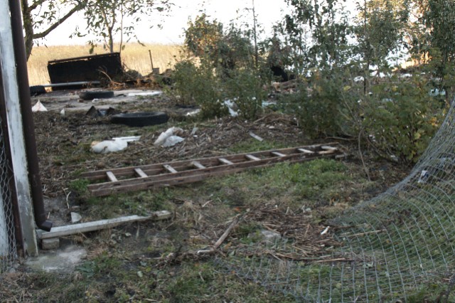 Tolkmicko, Suchacz i Nowakowo po powodzi zdjęcie nr 28477