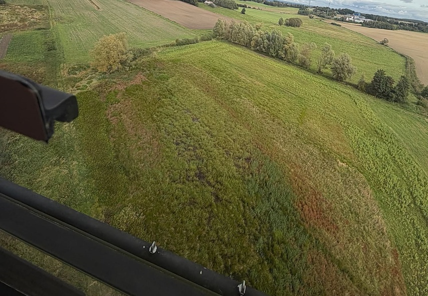 Kolejny dzień poszukiwań 76-latki. Służby i ochotnicy przeczesują las zdjęcie nr 353502