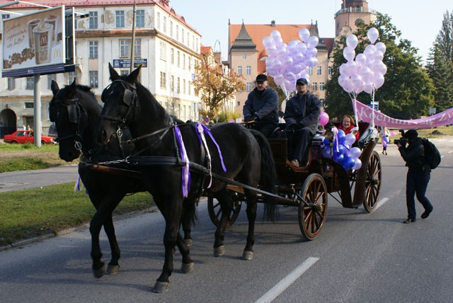 Marsz Zdrowia zdjęcie nr 28546