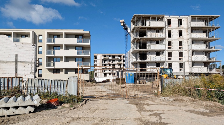 modrzewina zdjęcie nr 354275