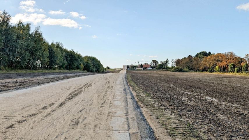 modrzewina zdjęcie nr 354283