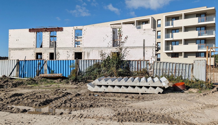 modrzewina zdjęcie nr 354274