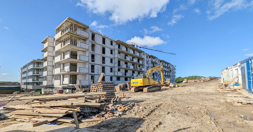 modrzewina zdjęcie nr 354280