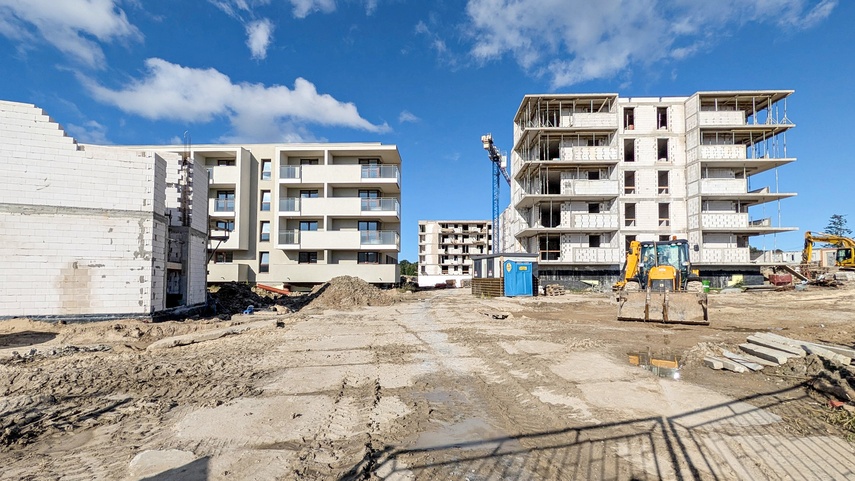 modrzewina zdjęcie nr 354276
