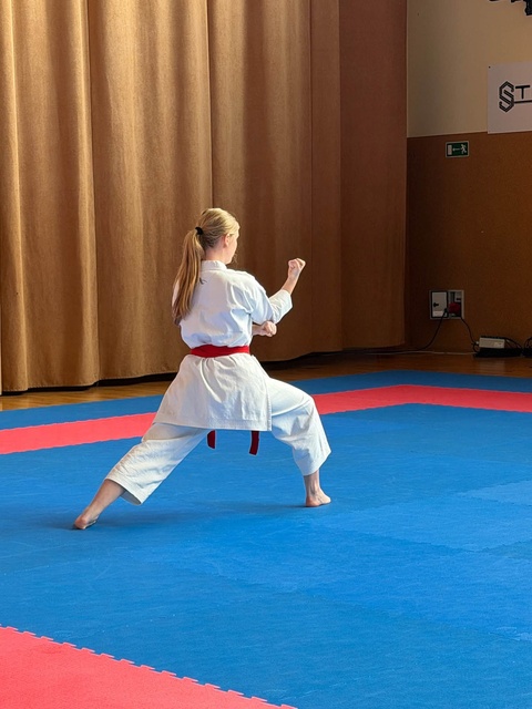 15 medali dla Andrexu. Turniej karate XIV YAMABUSHI CUP 2026 zdjęcie nr 354758 15 medali dla Andrexu. Turniej karate XIV YAMABUSHI CUP 2026 zdjęcie nr 354758