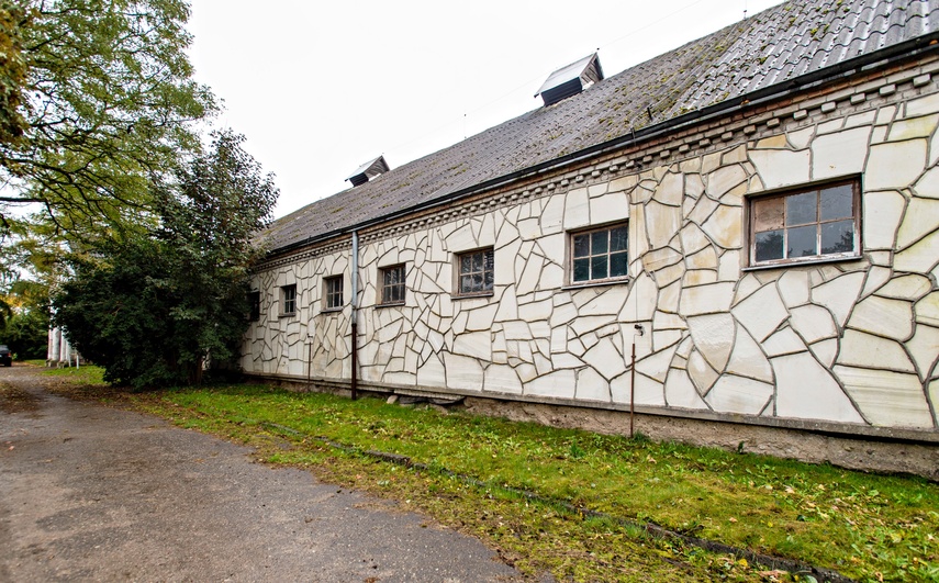 Nie mają dokąd pójść. Uratowane konie potrzebują pilnej pomocy zdjęcie nr 355061 Nie mają dokąd pójść. Uratowane konie potrzebują pilnej pomocy zdjęcie nr 355061