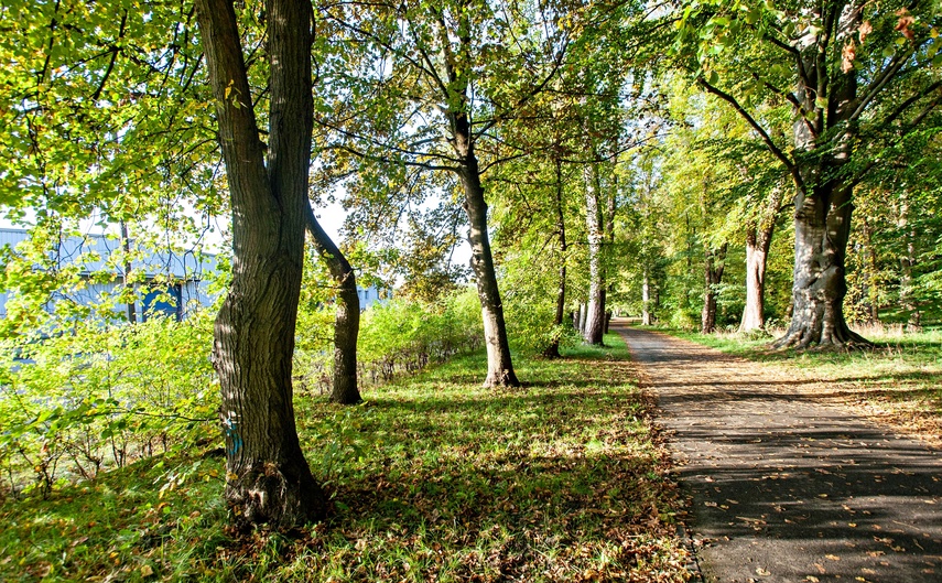 Tu wycinki nie będzie zdjęcie nr 355148
