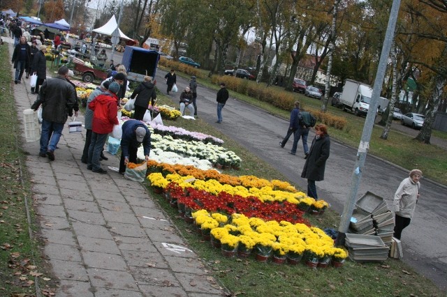 Sobotnie przygotowania do Święta Wszystkich Świętych zdjęcie nr 28971