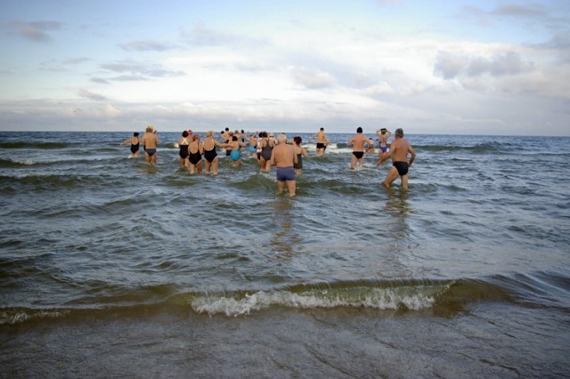 Morsy nie chorują zdjęcie nr 29922