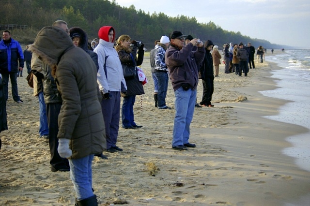 Morsy nie chorują zdjęcie nr 29927