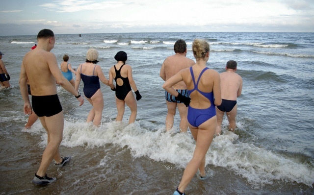 Morsy nie chorują zdjęcie nr 29918