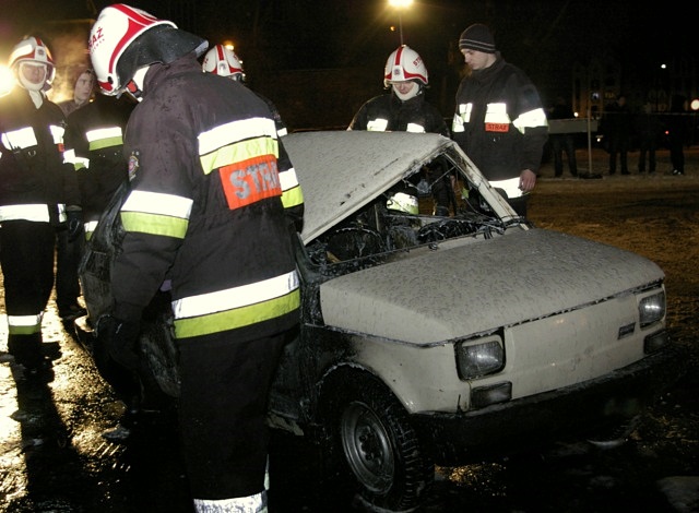 Ratownicy, strażacy i antyterroryści zdjęcie nr 30450