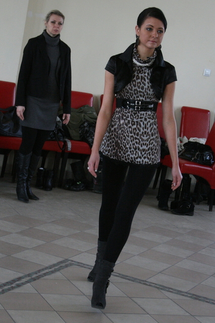 Próby kandydatek ubiegających się o tytuł Miss Ziemi Elbląskiej 2010 zdjęcie nr 32134