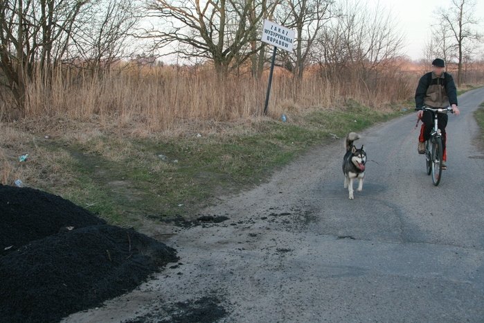 Asfalt na trawy Elbląg dziurawy zdjęcie nr 33552