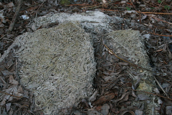 Asfalt na trawy Elbląg dziurawy zdjęcie nr 33563
