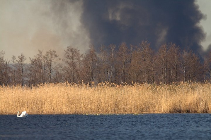 Pożar nad jeziorem zdjęcie nr 34185
