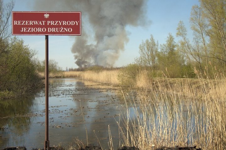 Pożar nad jeziorem zdjęcie nr 34178