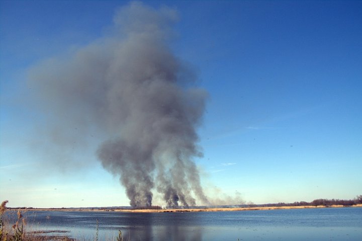 Pożar nad jeziorem zdjęcie nr 34189