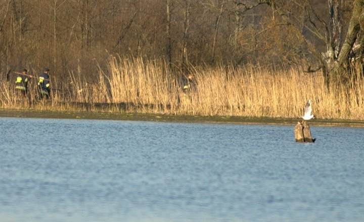 Pożar nad jeziorem zdjęcie nr 34188
