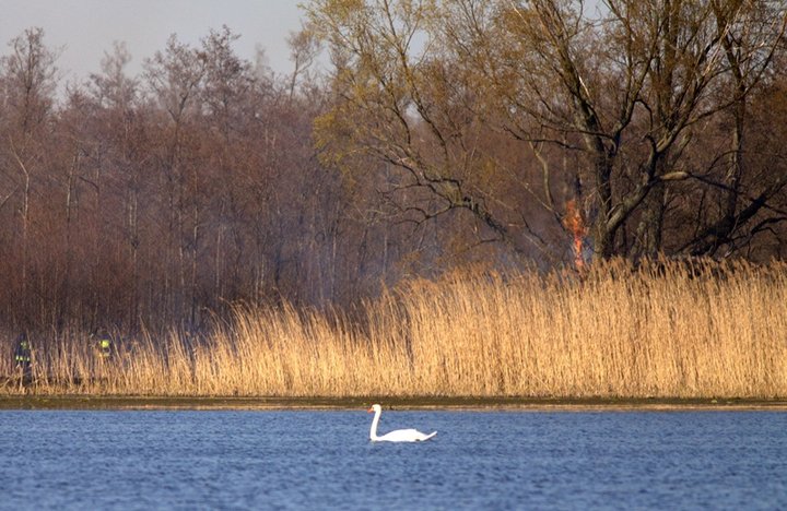 Pożar nad jeziorem zdjęcie nr 34180