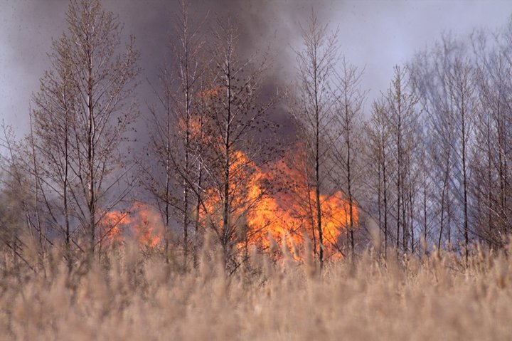 Pożar nad jeziorem zdjęcie nr 34176
