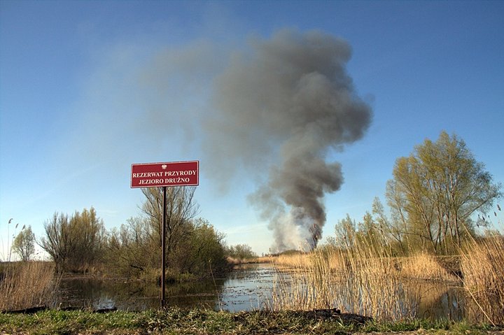 Pożar nad jeziorem zdjęcie nr 34179