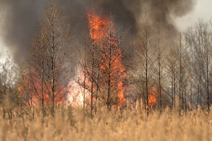 Pożar nad jeziorem zdjęcie nr 34177