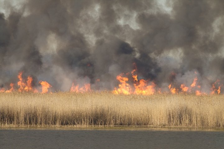 Pożar nad jeziorem zdjęcie nr 34184