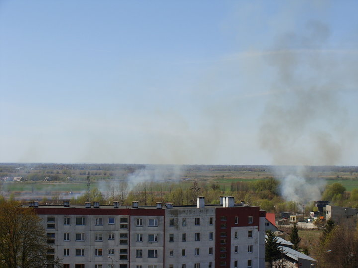Łąki znów płoną zdjęcie nr 34212