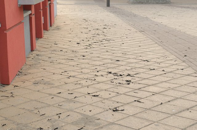 Elbląg Pożar przy Skrzydlatej