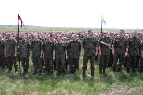 Dzik na orzyskim poligonie zdjęcie nr 34845