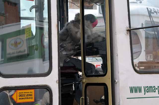 Zderzenie dwóch tramwajów - ćwiczenia zdjęcie nr 35279