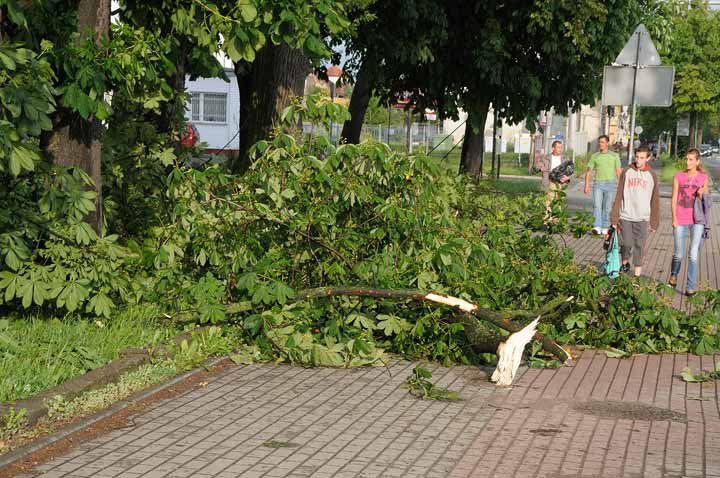 Nawałnica nad Elblągiem zdjęcie nr 36102