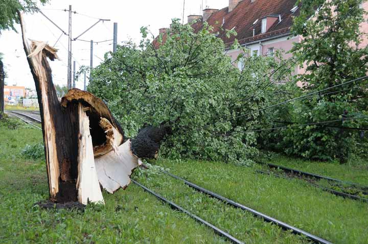 Nawałnica nad Elblągiem zdjęcie nr 36099