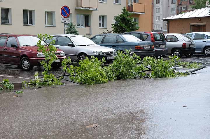 Nawałnica nad Elblągiem zdjęcie nr 36089