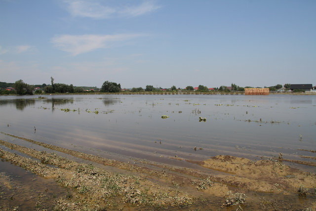 Byli TAM z darami zdjęcie nr 36116