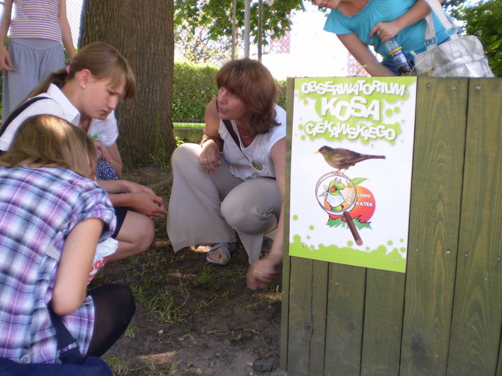 Wielkie kompostowanie w SP 18 zdjęcie nr 36221