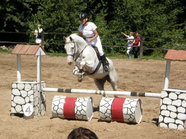 Piastowiada zdjęcie nr 37228