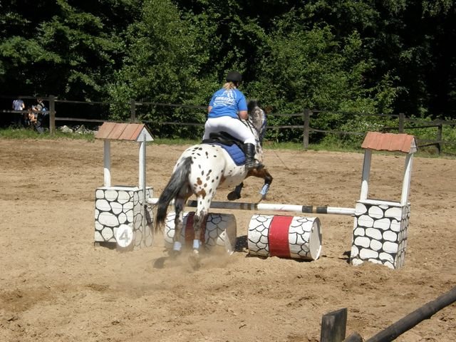 Piastowiada zdjęcie nr 37229