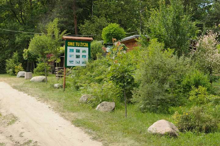 Pasłęcki Park Ekologiczny im. Stanisława Penkali zdjęcie nr 37277
