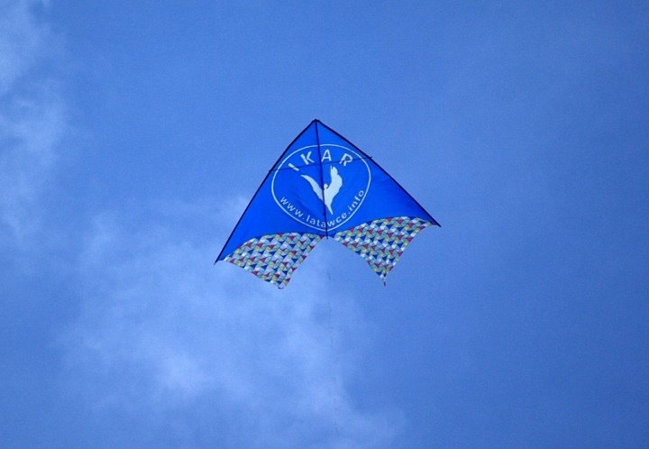 Festiwal latawców zdjęcie nr 37844