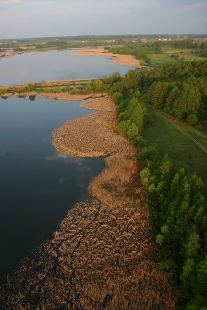 Międzynarodowe Zawody Balonowe zdjęcie nr 37865